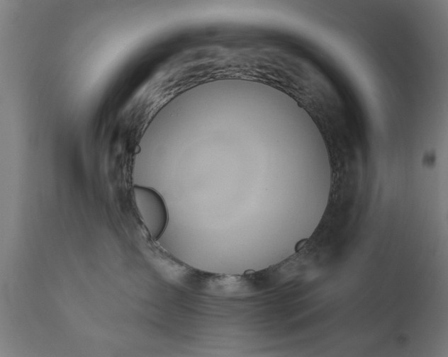 X0000111820431200907301301