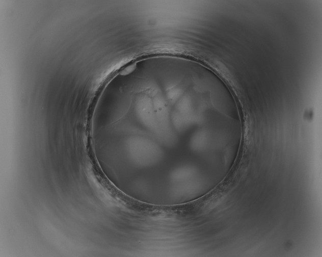 X0000111820434200907301300