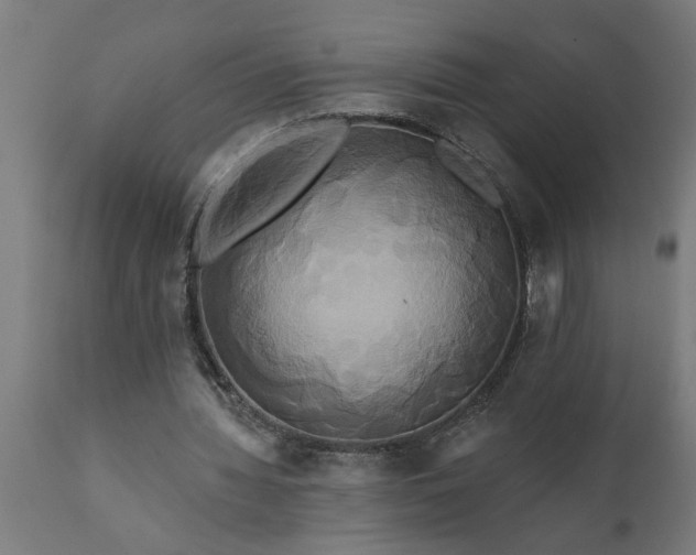 X0000111820436200907301301