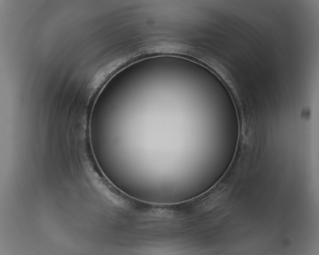 X0000111820437200907301301