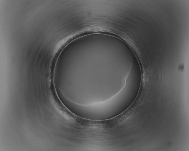X0000111820438200907301301