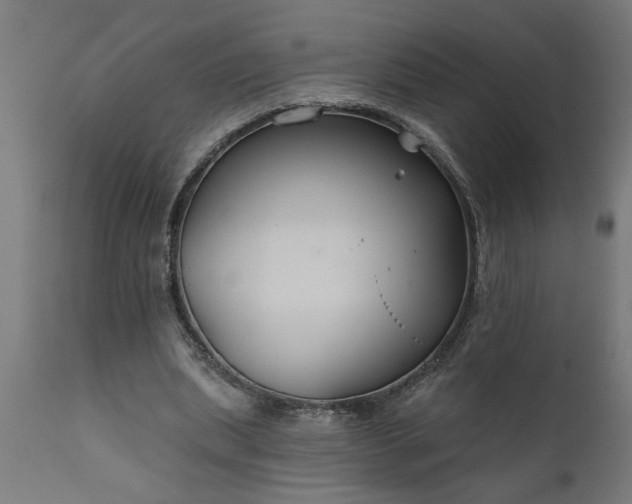 X0000111820439200907301301