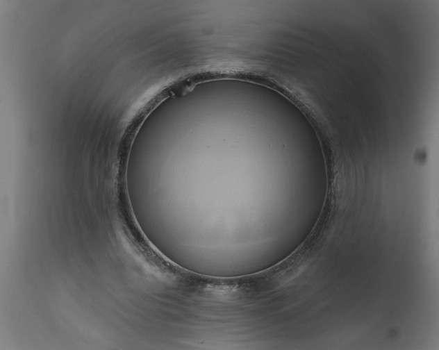 X0000111820440200907301301