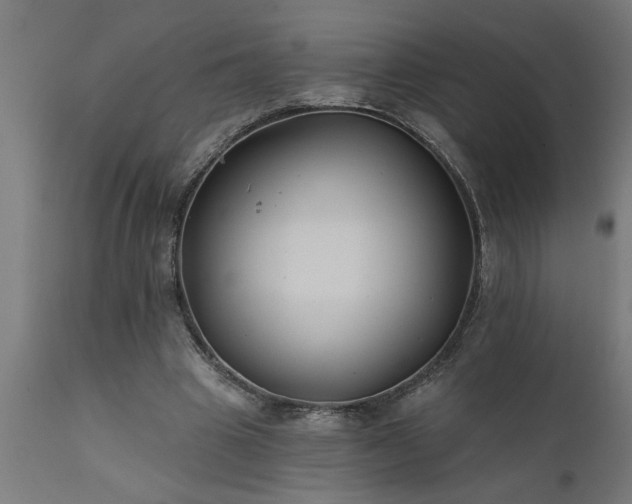 X0000111820441200907301301