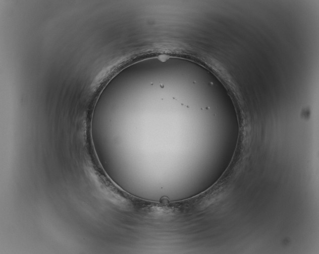 X0000111820442200907301301