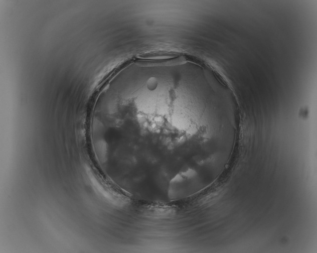 X0000111820443200907301301