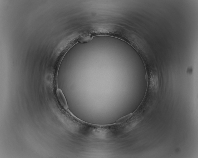 X0000111820444200907301301