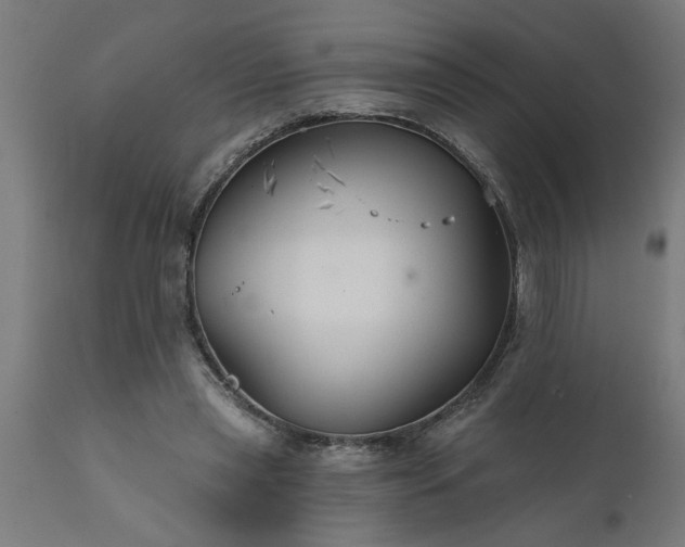 X0000111820445200907301301