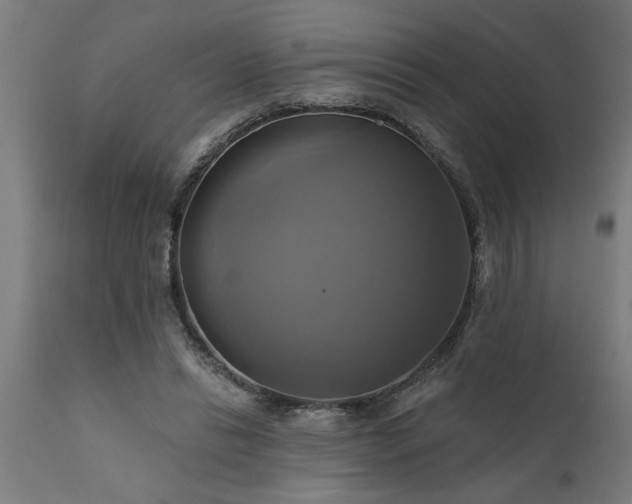 X0000111820446200907301301