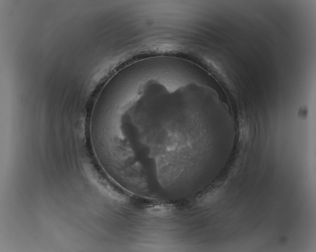 X0000111820447200907301301
