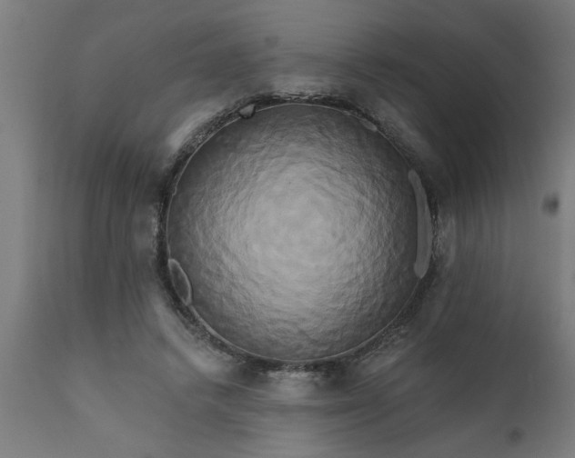 X0000111820448200907301301