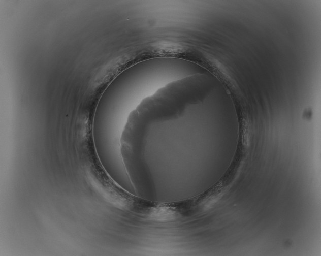 X0000111820451200907301301