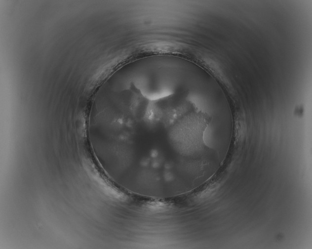 X0000111820453200907301301