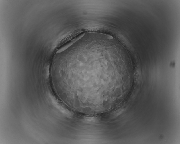 X0000111820454200907301301