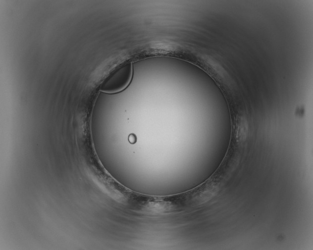 X0000111820455200907301301