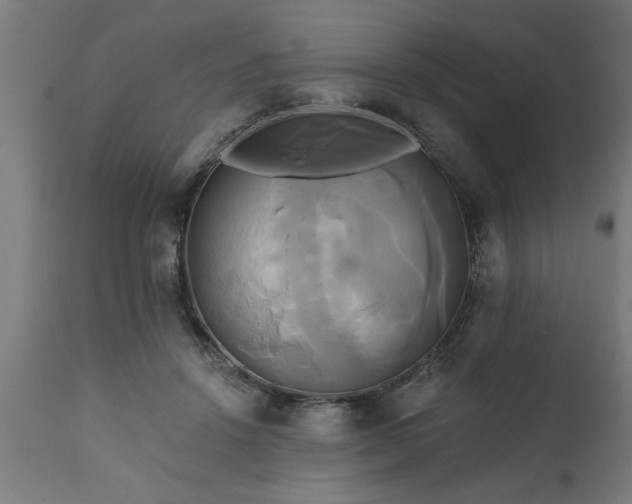 X0000111820456200907301301