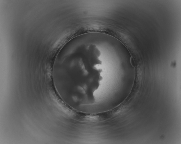 X0000111820457200907301301