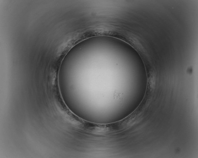 X0000111820458200907301301