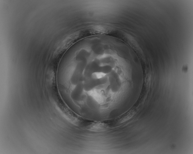 X0000111820459200907301301
