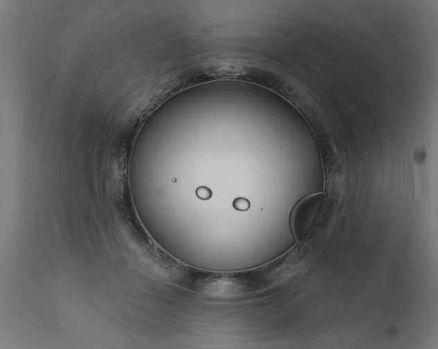 X0000111820460200907301301