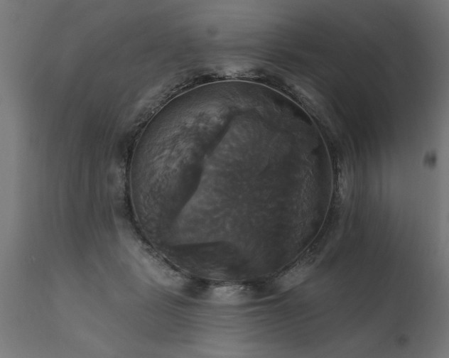 X0000111820461200907301301