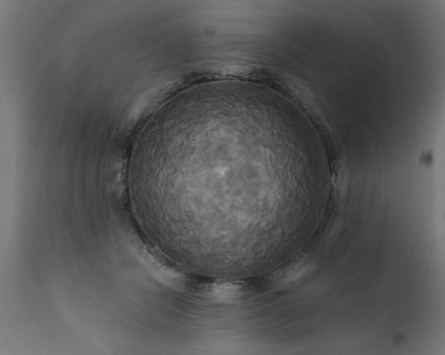 X0000111820462200907301301
