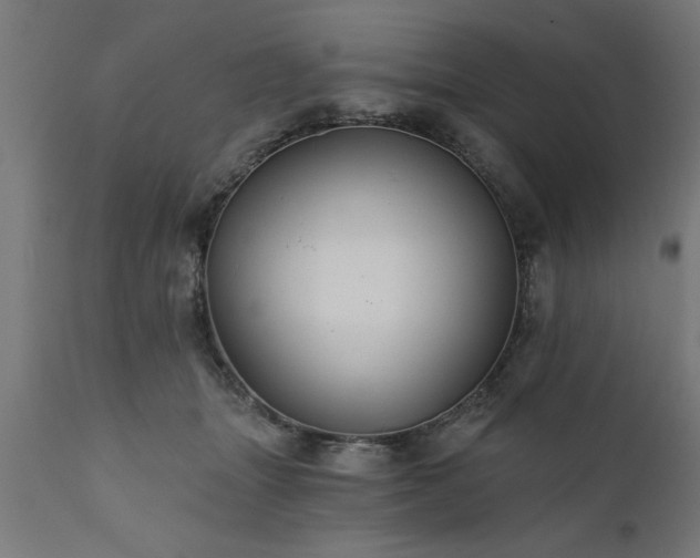X0000111820463200907301301