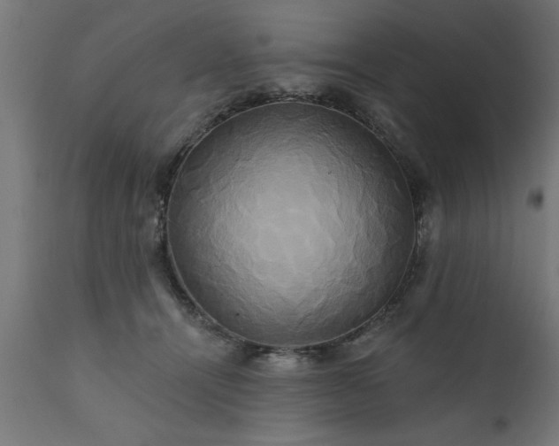 X0000111820464200907301301