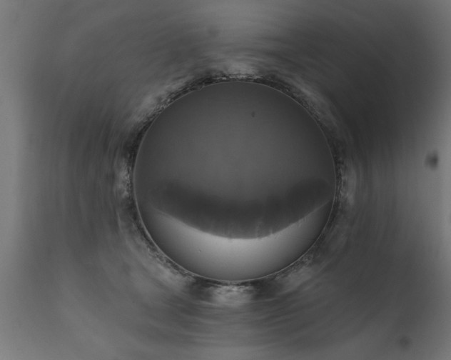 X0000111820465200907301301