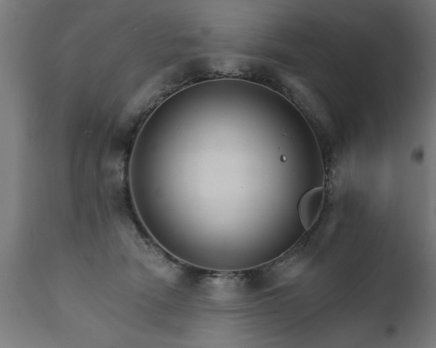 X0000111820466200907301301