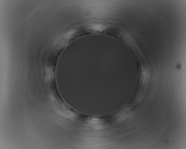 X0000111820467200907301301
