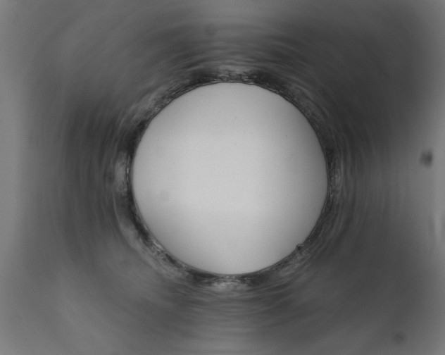 X0000111820468200907301301