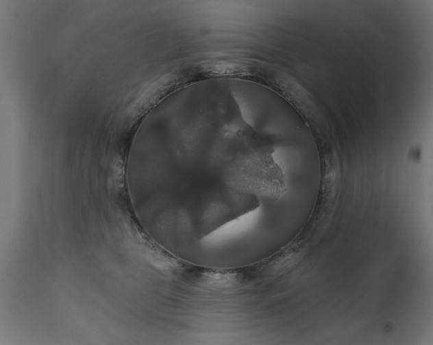 X0000111820469200907301301