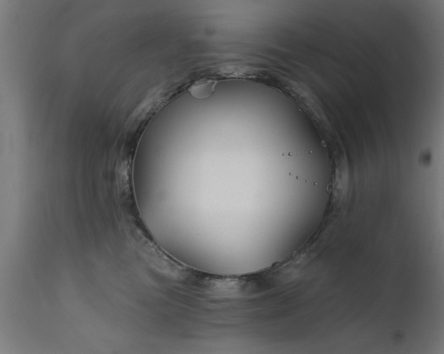 X0000111820473200907301301