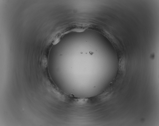 X0000111820474200907301301