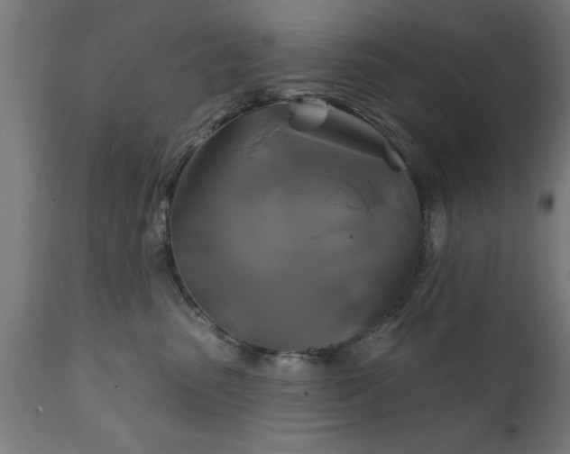 X0000111820475200907301301