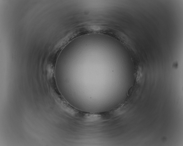 X0000111820476200907301301