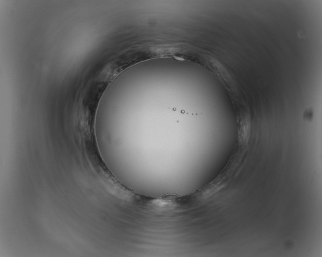 X0000111820477200907301301