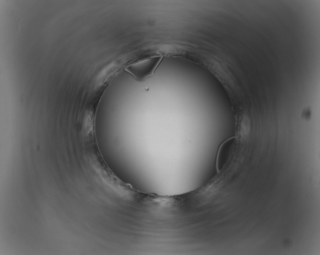 X0000111820478200907301301