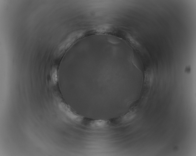 X0000111820479200907301301