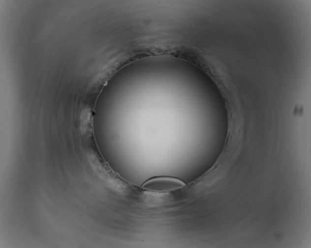 X0000111820480200907301301