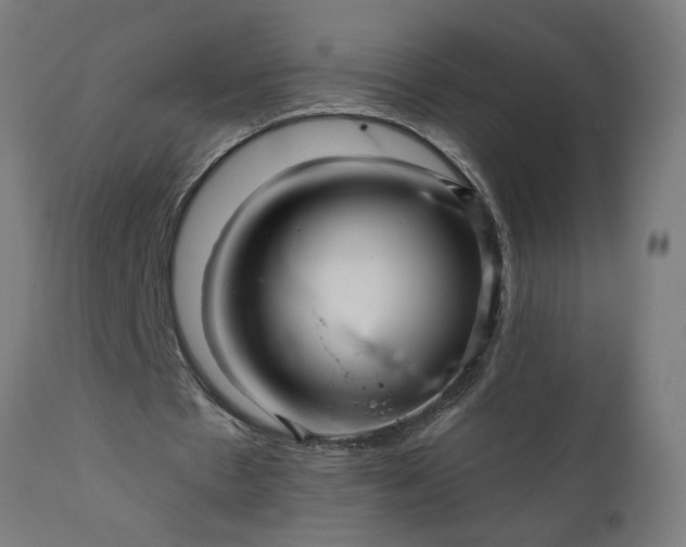 X0000111820481200907301300