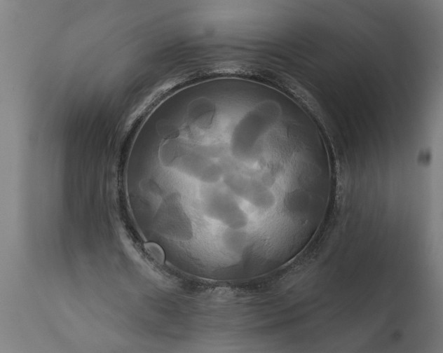 X0000111820482200907301300