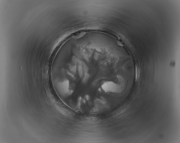 X0000111820483200907301300