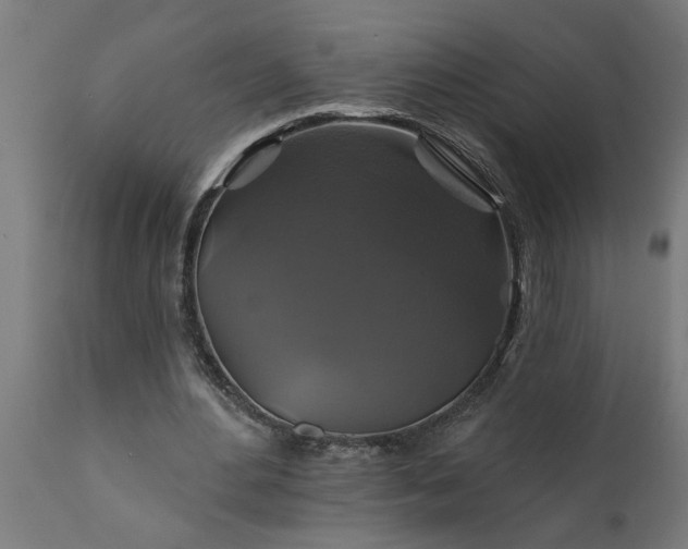 X0000111820484200907301300