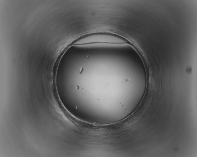 X0000111820485200907301300