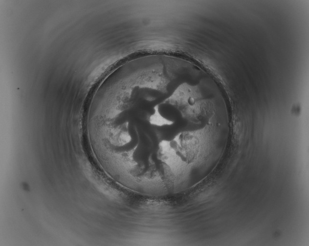 X0000111820487200907301300