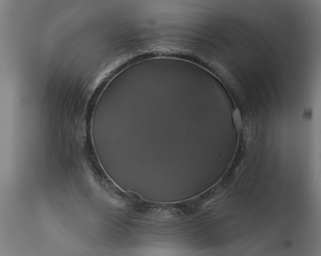 X0000111820488200907301300