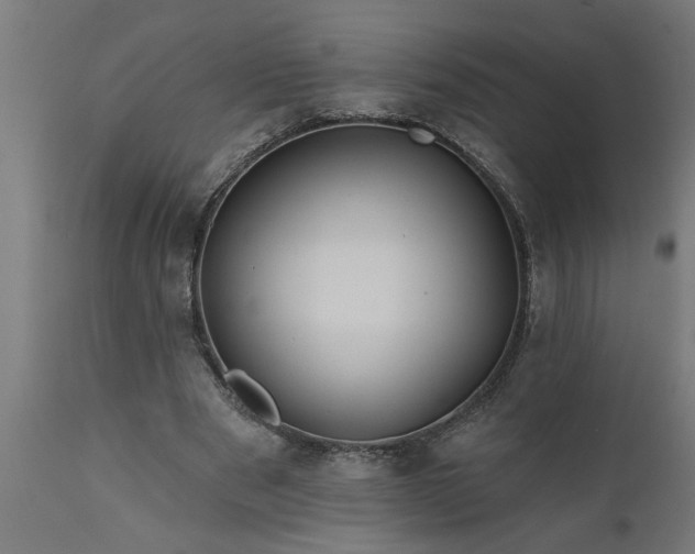 X0000111820489200907301300