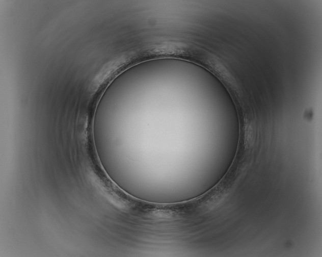 X0000111820490200907301300